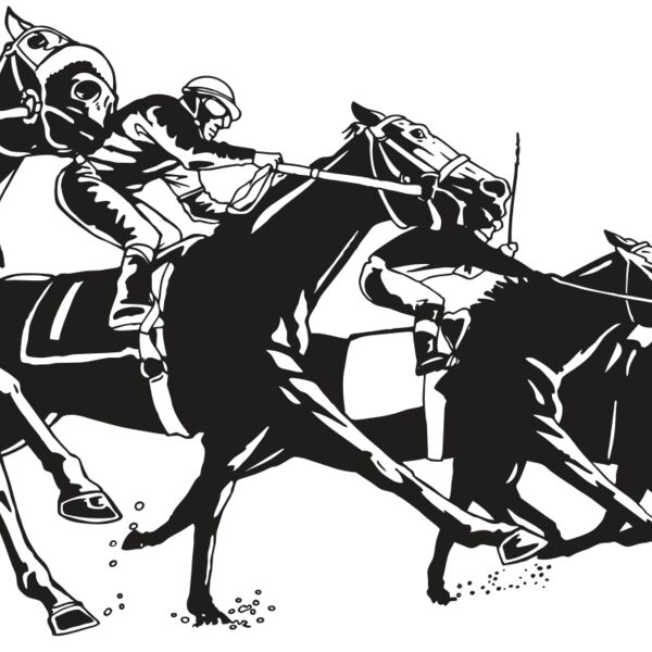 AR EQUEST 13 RC Thumbnail