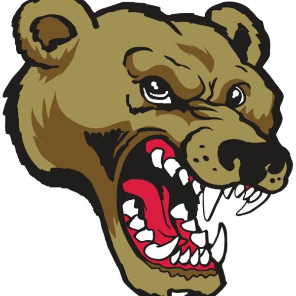 AR10 BEAR 01 RQC Thumbnail