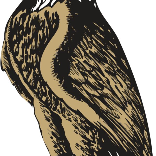 BAW EAG 02 RC Thumbnail