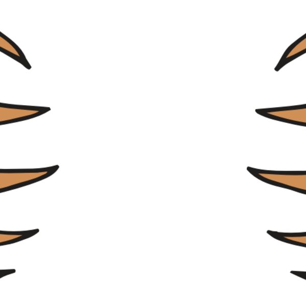 AR BEAR 05 RC Thumbnail