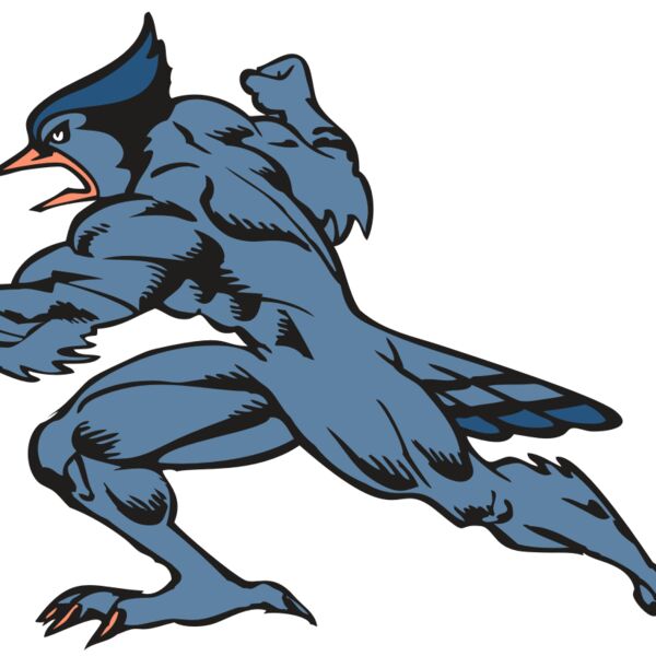 BAW BLUEJAY 15 RC Thumbnail