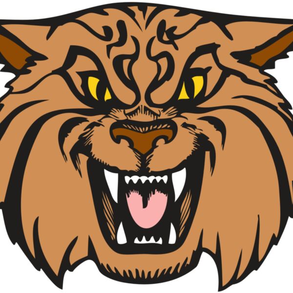 BAW WILDCAT 04 RC Thumbnail